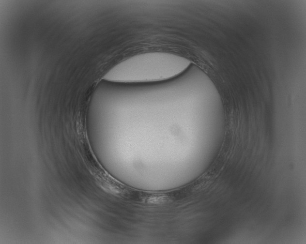 X0000053010173200507081031