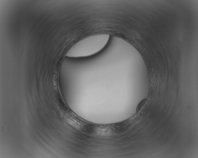 X0000053010175200507081031
