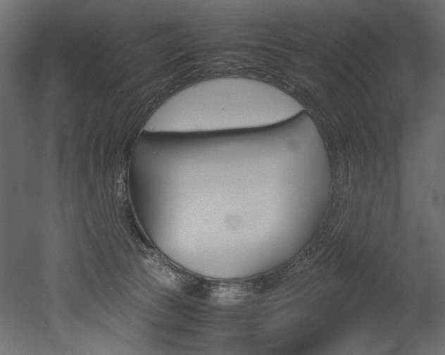 X0000053010177200507081031
