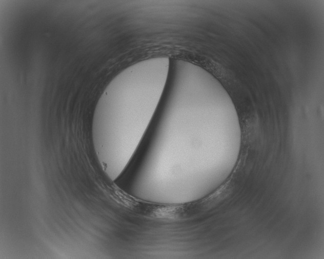 X0000053010178200507081031