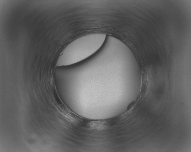 X0000053010179200507081031