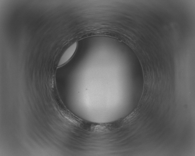 X0000053010180200507081031