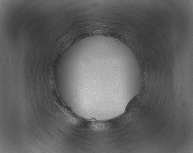 X0000053010181200507081031