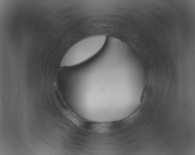 X0000053010182200507081031