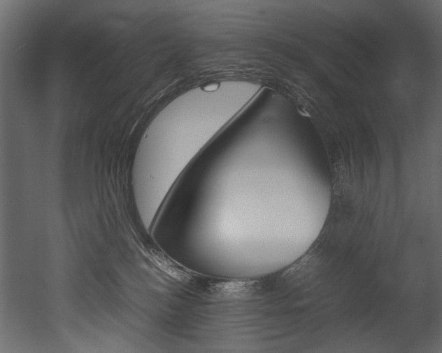 X0000053010184200507081031