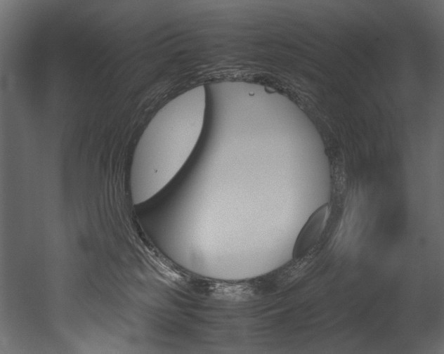 X0000053010185200507081031