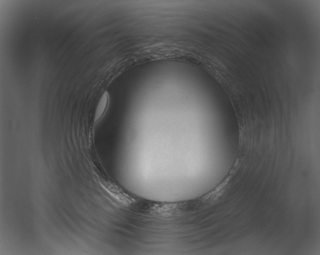 X0000053010186200507081031