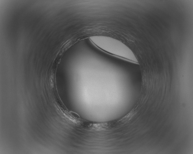 X0000053010188200507081031