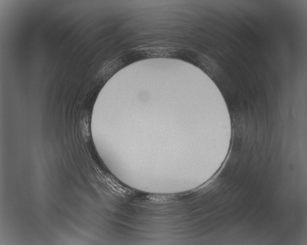 X0000053010190200507081031