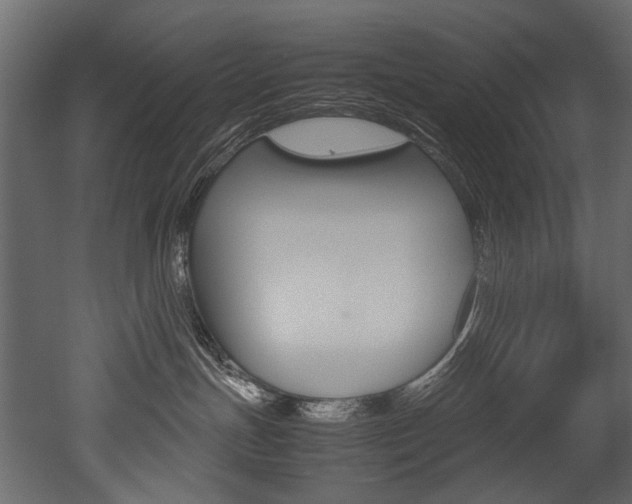 X0000053010191200507081031