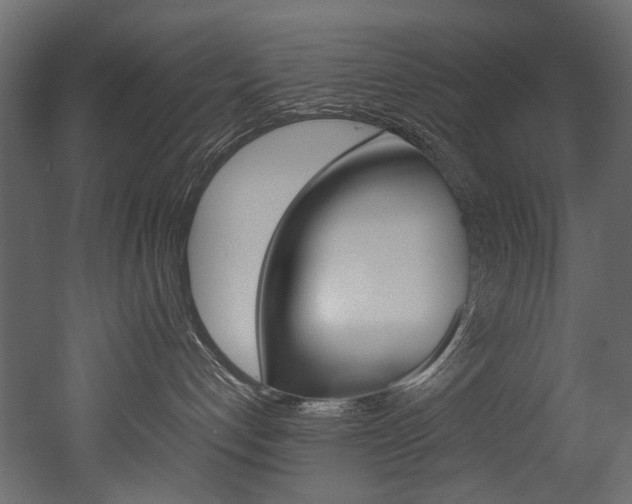 X0000053010192200507081031