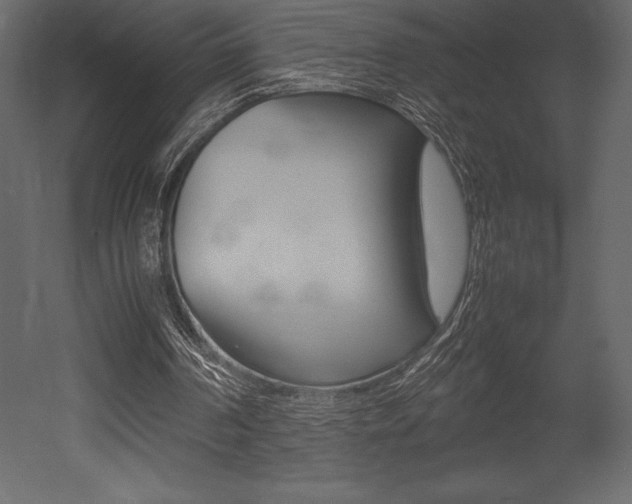 X0000053010194200507081030