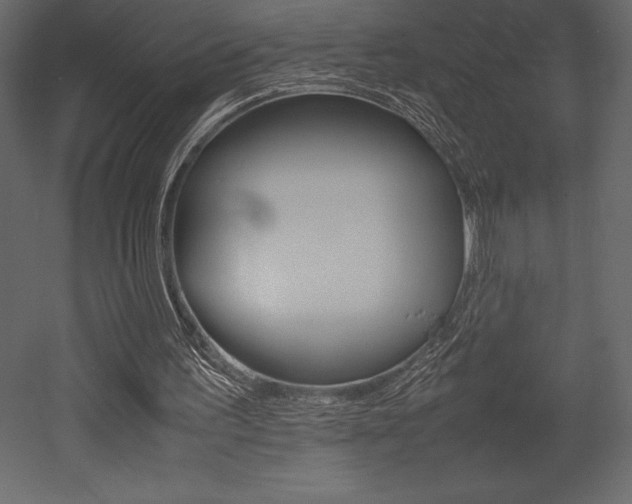 X0000053010195200507081030