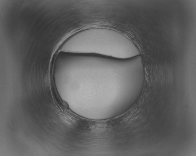 X0000053010196200507081030