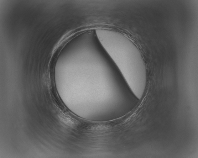 X0000053010198200507081030