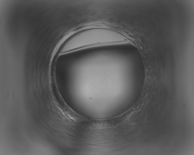 X0000053010200200507081030