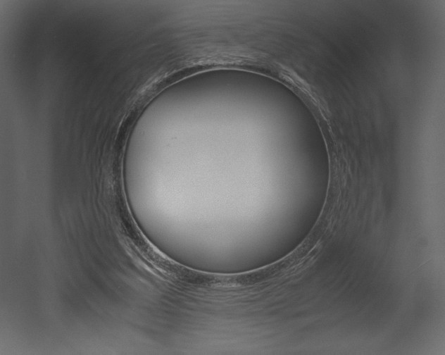 X0000053010203200507081030