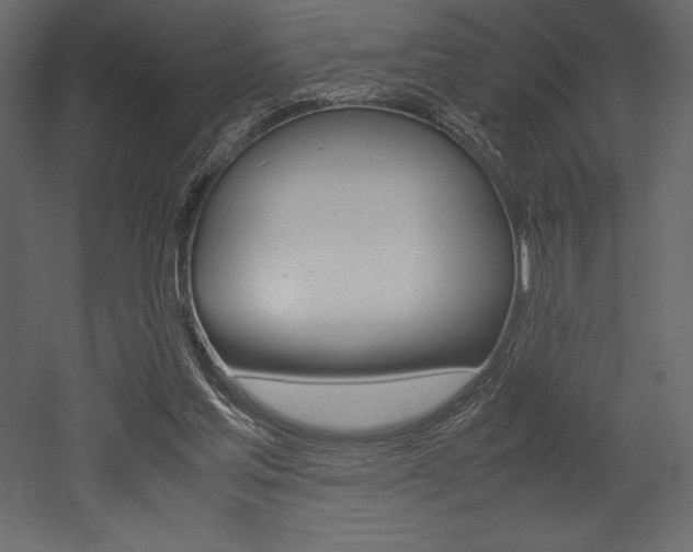 X0000053010205200507081030