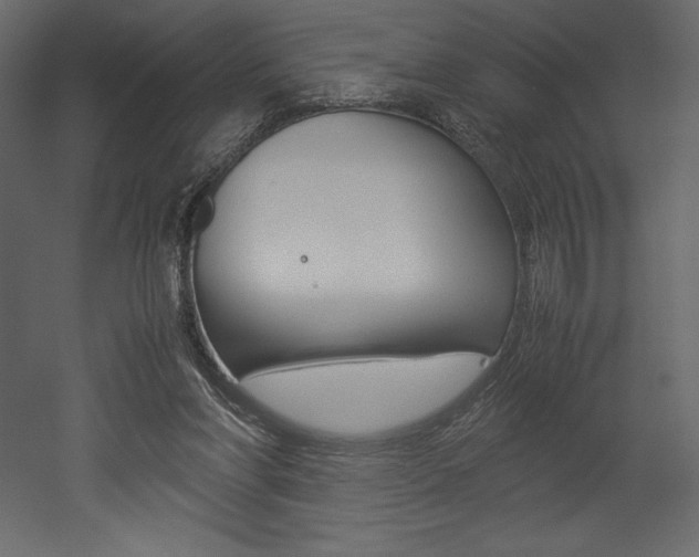 X0000053010206200507081030