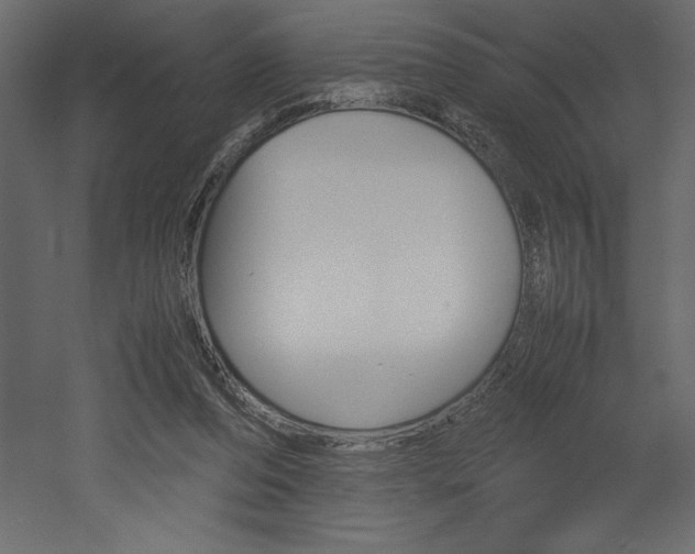 X0000053010208200507081030