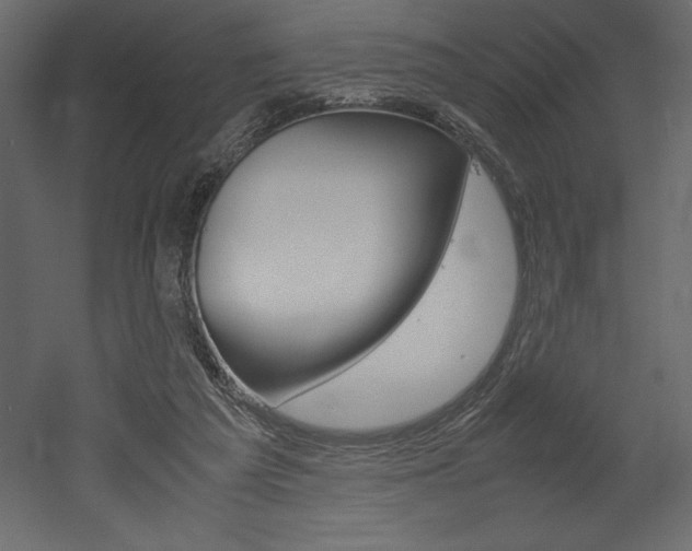 X0000053010209200507081030