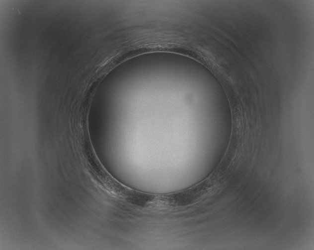 X0000053010211200507081030