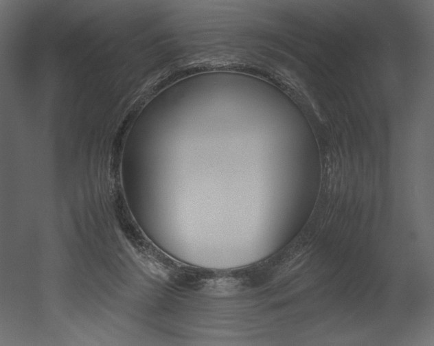 X0000053010212200507081030