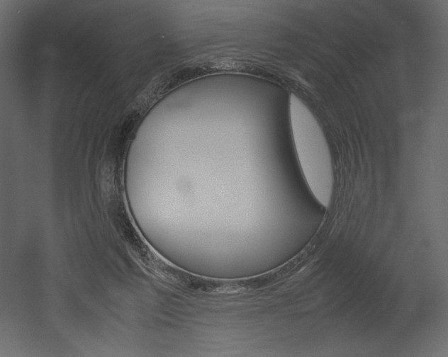 X0000053010213200507081030