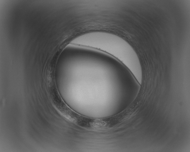 X0000053010215200507081030
