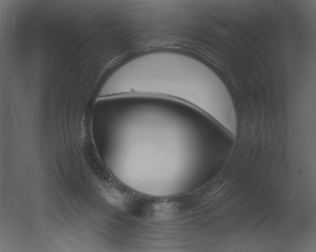 X0000053010216200507081030