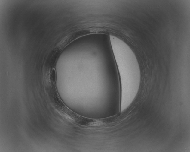 X0000053010219200507081030