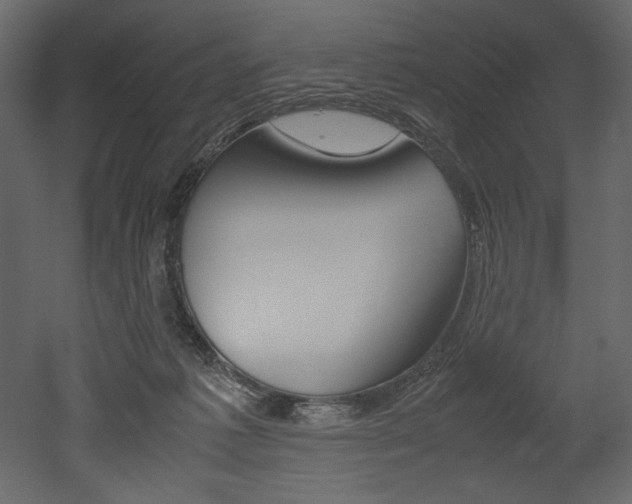 X0000053010221200507081030