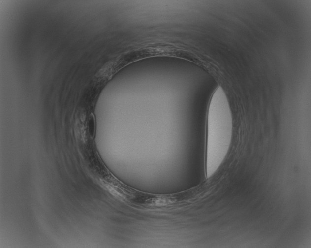 X0000053010223200507081030