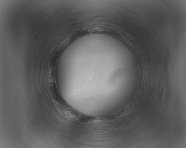 X0000053010224200507081030