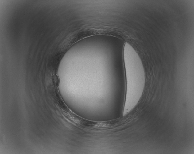X0000053010225200507081030