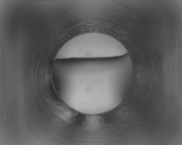 X0000053010226200507081030