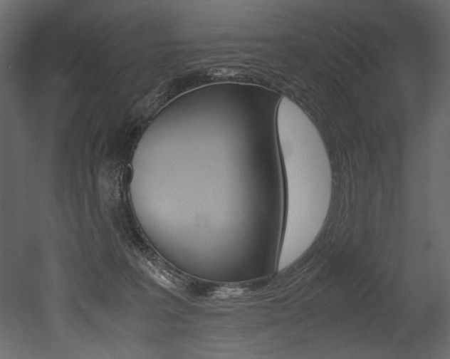 X0000053010227200507081030
