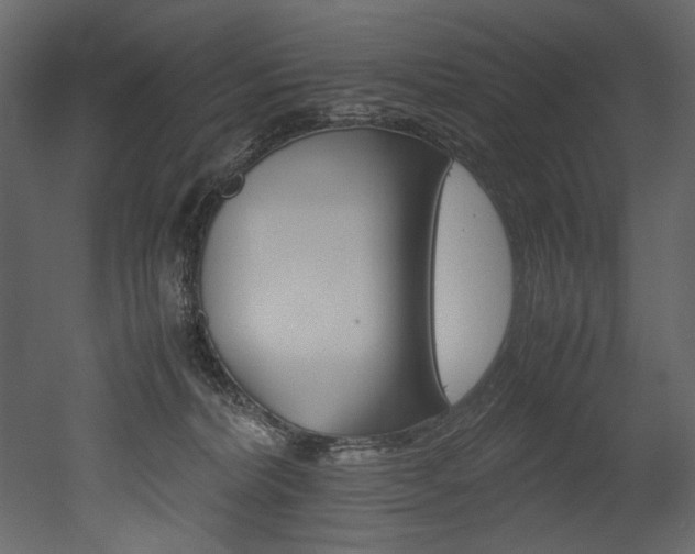 X0000053010228200507081030