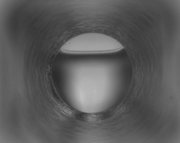 X0000053010229200507081030