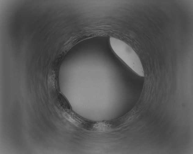 X0000053010231200507081030
