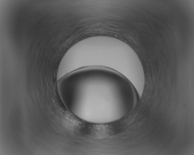 X0000053010233200507081029