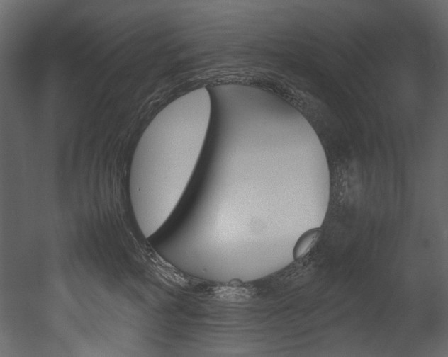 X0000053010234200507081029