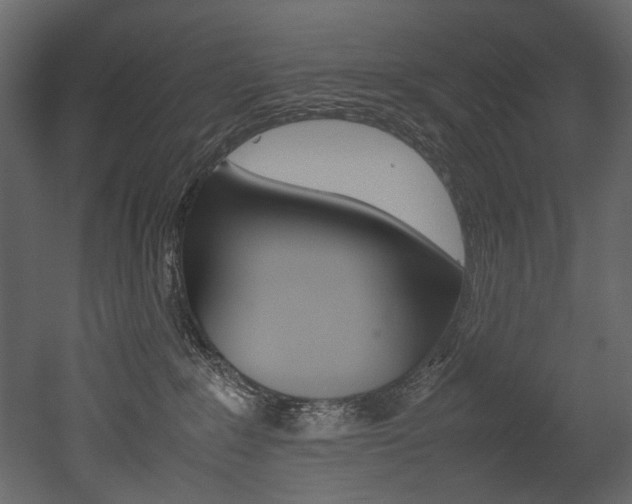 X0000053010235200507081029