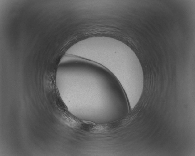 X0000053010237200507081029