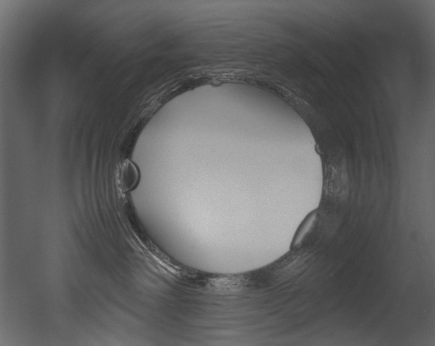 X0000053010238200507081029