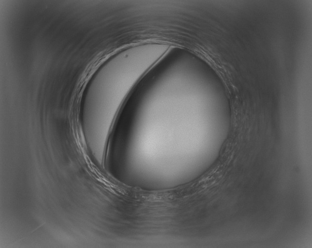 X0000053010241200507081029