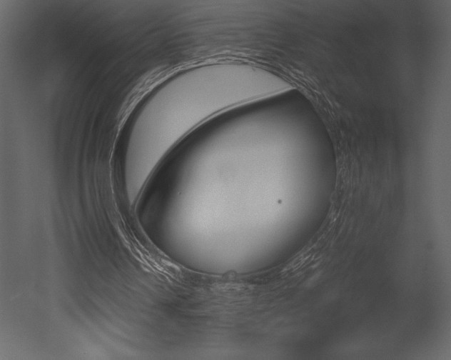 X0000053010242200507081029