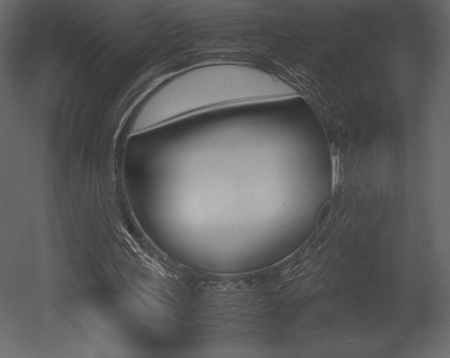 X0000053010243200507081029