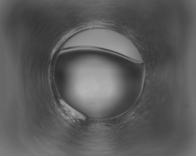 X0000053010244200507081029