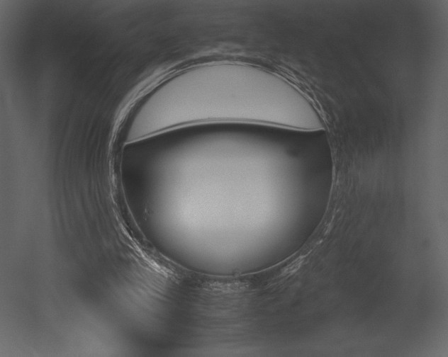 X0000053010245200507081029
